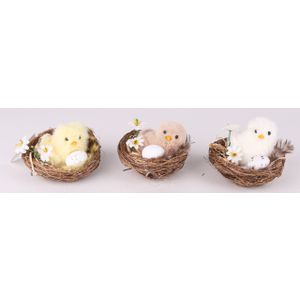 USKRŠNJE PILE U LJUSCI