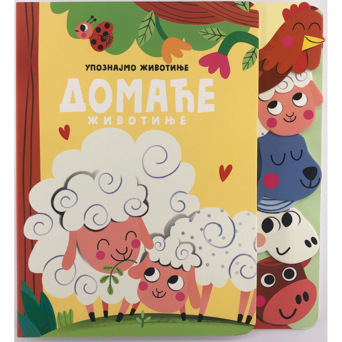 UPOZNAJMO ŽIVOTINJE:DOMAĆE ŽIVOTINJE