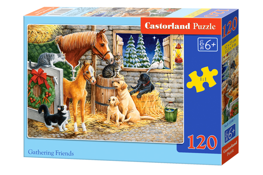 PUZZLE GATHERING FRINEDS 120PC