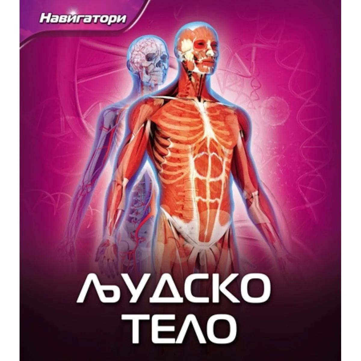 LJUDSKO TELO-NAVIGATORI