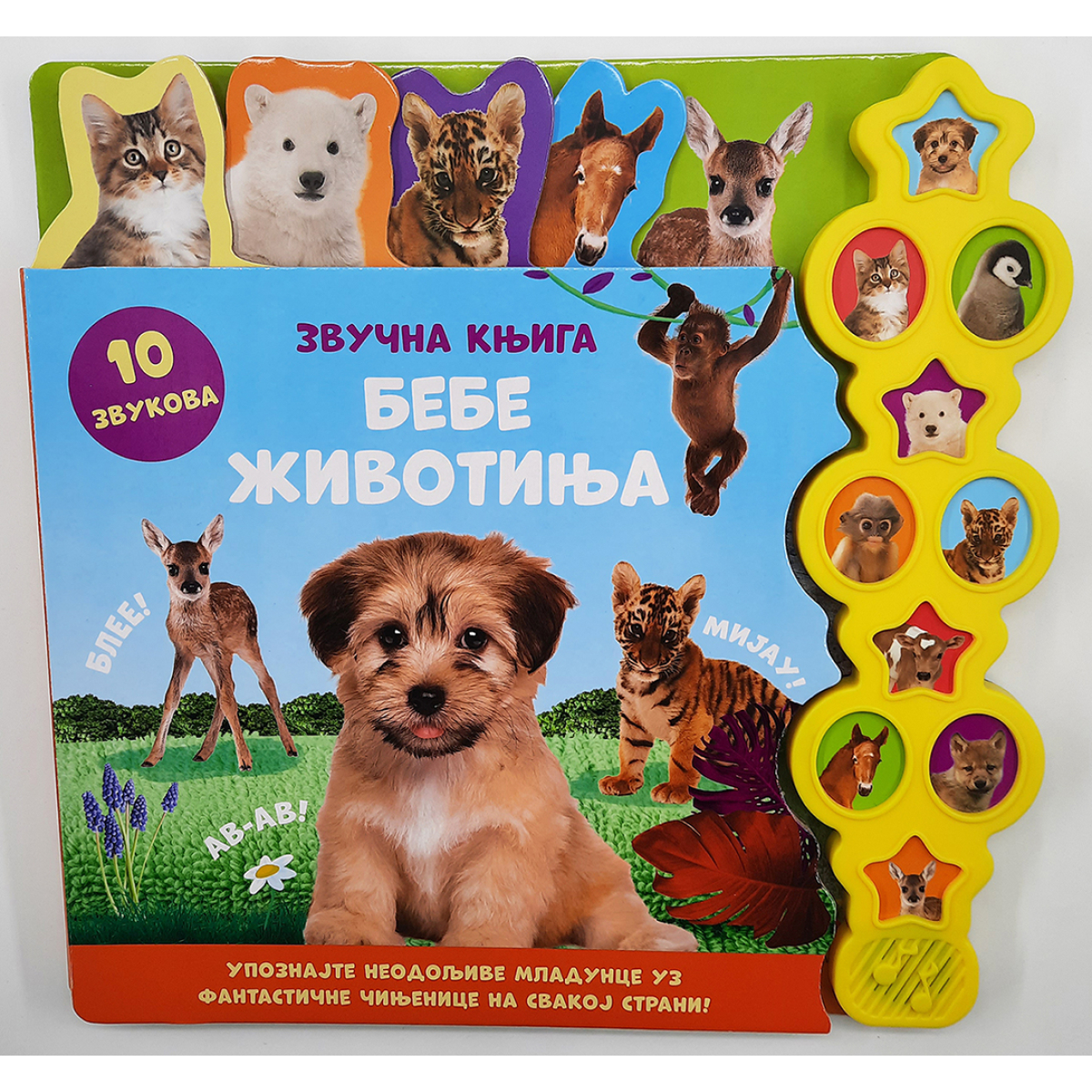 ZVUČNA KNJIGA:BEBE ŽIVOTINJA