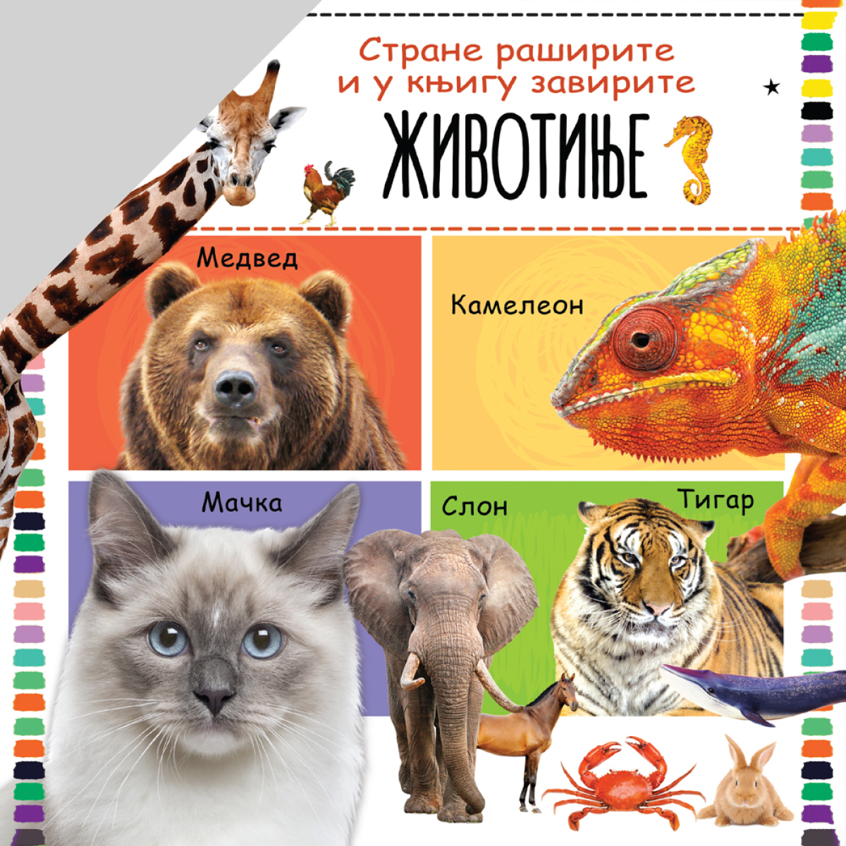 STRANE RAŠIRITE I U KNJIGU ZAVIRITE: ŽIVOTINJE