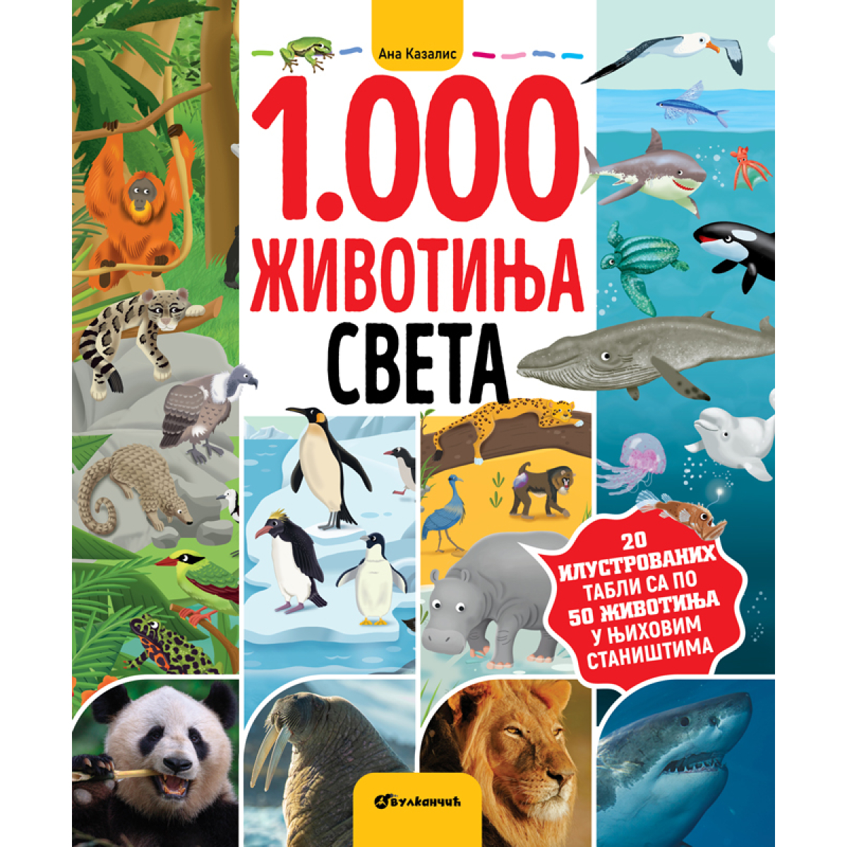 1000 ŽIVOTINJA SVETA