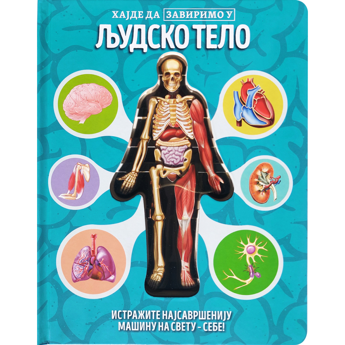 HAJDE DA ZAVIRIMO U:LJUDSKO TELO