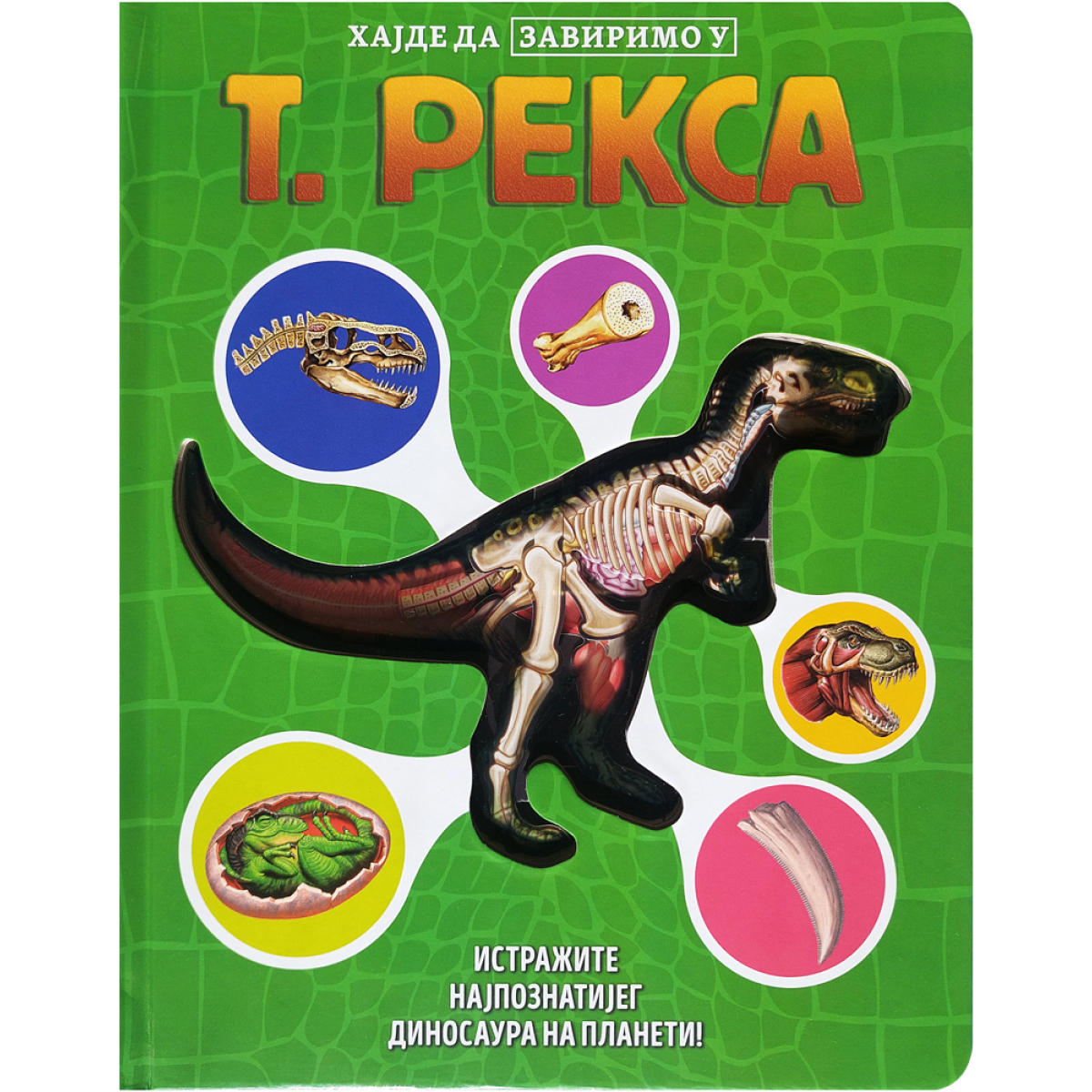 HAJDE DA ZAVIRIMO U:T.REKSA