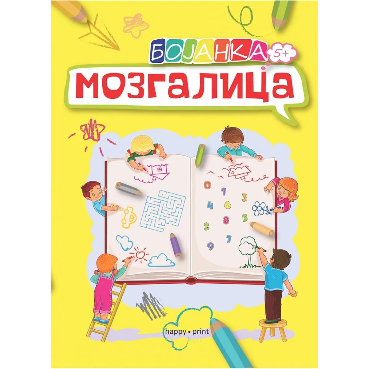 BOJANKA 319 MOZGALICA