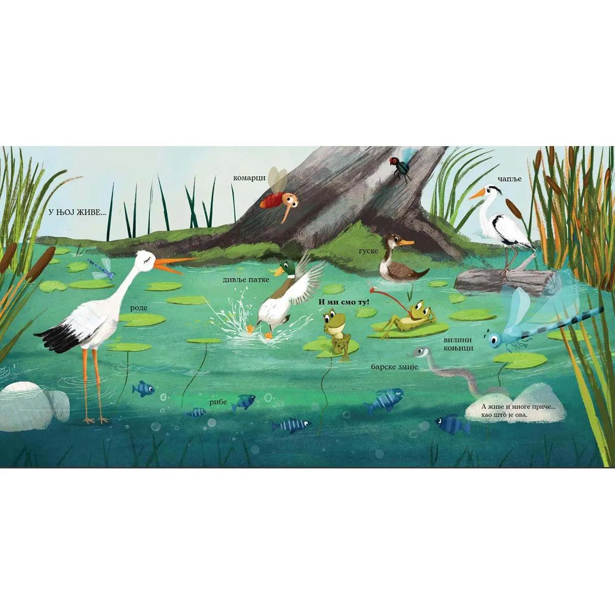 ZALJUBLJENA ŽABA-PČELICA